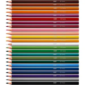 Scatola di 12 matite colorate BIC Intensity