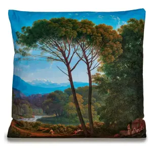 Samtkissen BigBuy Home image-0