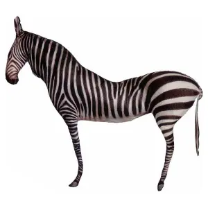 Coussin en velours BigBuy Home image-0