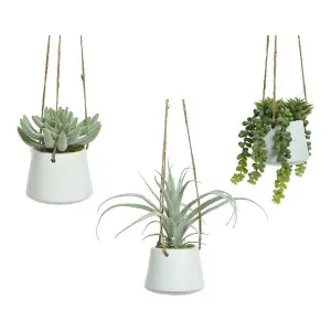 Artificial succulent indoor plant for hanging BigBuy Home