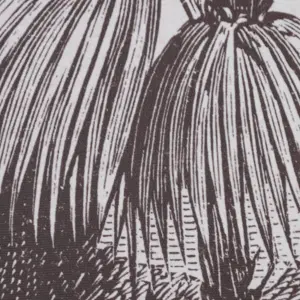 Palm tree painting BigBuy Home image-3