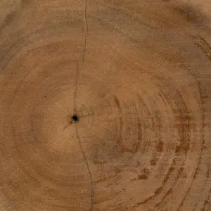 Decorative figurine in wood and iron BigBuy Home image-3