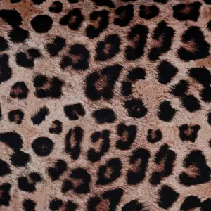 Leopard cushion BigBuy Home image-2