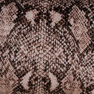 Coussin serpent rectangulo BigBuy Home image-2