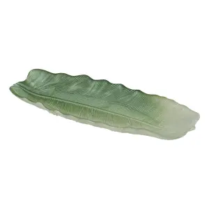Shell tray BigBuy Home image-0