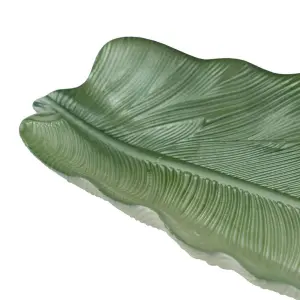 Shell tray BigBuy Home image-4