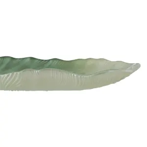 Shell tray BigBuy Home image-6