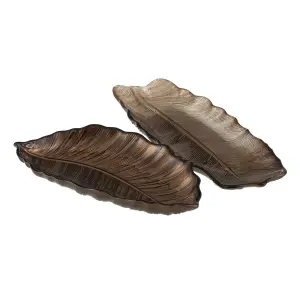 Plant leaf tray BigBuy Home image-1