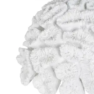 Decorative coral figurine in resin BigBuy Home image-1