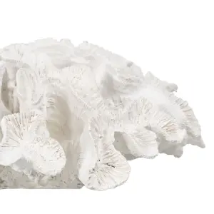 Decorative coral resin figurine BigBuy Home image-3