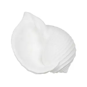 Decorative conch figurine BigBuy Home image-2
