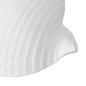 Decorative conch figurine BigBuy Home image-3