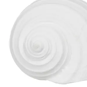 Decorative conch figurine BigBuy Home image-4