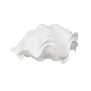 Decorative resin conch figurine BigBuy Home image-2