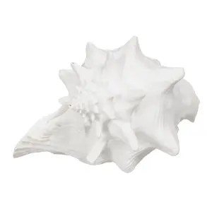 Decorative resin conch figurine BigBuy Home image-0