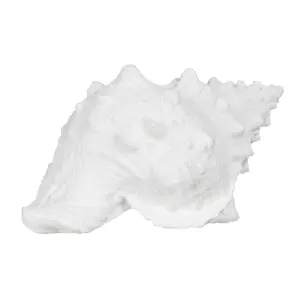 Decorative resin conch figurine BigBuy Home image-0