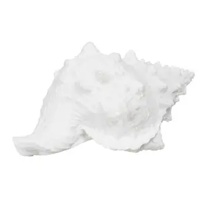Decorative resin conch figurine BigBuy Home image-3