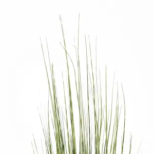 Indoor plant pvc steel cement BigBuy Home image-1