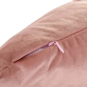 Coussin en velours et polyester BigBuy Home image-4