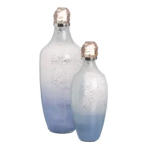 Dekorative Glasharzflasche BigBuy Home 12x12x33 cm image-0