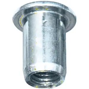 Stahl-Mutter zum Einpressen Bihr M8 (x20) image-0