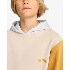 Kinder Kapuzenpullover Billabong Arch Block PO Y image-6