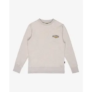 Παιδικό φούτερ Billabong Foundation CR image-0