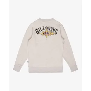 Παιδικό φούτερ Billabong Foundation CR image-1