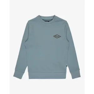 Παιδικό φούτερ Billabong Foundation CR image-0