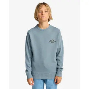 Παιδικό φούτερ Billabong Foundation CR image-1