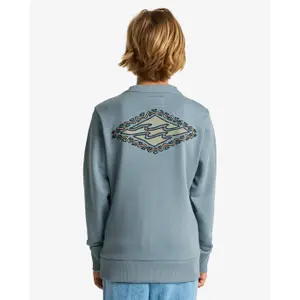 Παιδικό φούτερ Billabong Foundation CR image-4