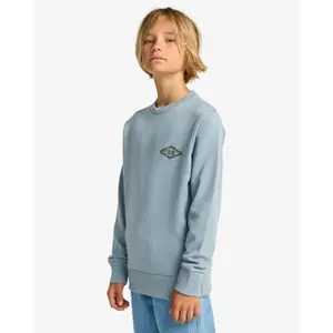 Παιδικό φούτερ Billabong Foundation CR image-5