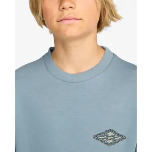 Παιδικό φούτερ Billabong Foundation CR image-6