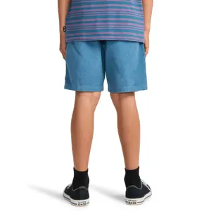 Child's shorts with drawstring Billabong Larry image-5
