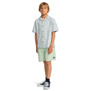 Child's shorts with drawstring Billabong Larry image-4