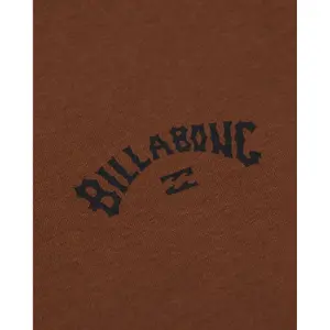 Camiseta algodón niño Billabong Arch Wave image-5