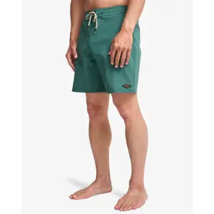 Surfshorts Billabong Every Other Day LT image-3