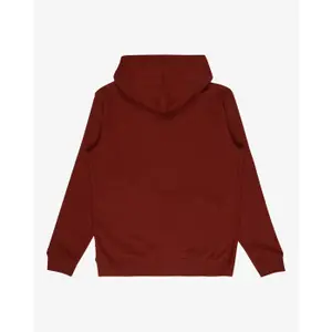 Hooded Sweatshirt Billabong Arch Po image-3
