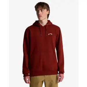 Hooded Sweatshirt Billabong Arch Po image-2