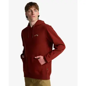 Hooded Sweatshirt Billabong Arch Po image-5