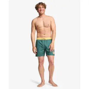 Σορτς σέρφινγκ Billabong DBAH Panel LB image-2