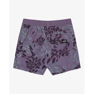 Σορτς σέρφινγκ Billabong Vacay LB image-4