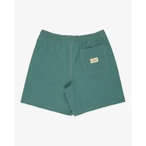 Surfshorts Billabong Wasted Times LB image-2