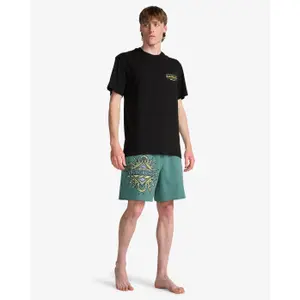 Surfshorts Billabong Wasted Times LB image-4