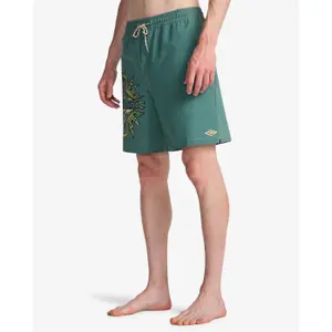 Surfshorts Billabong Wasted Times LB image-6