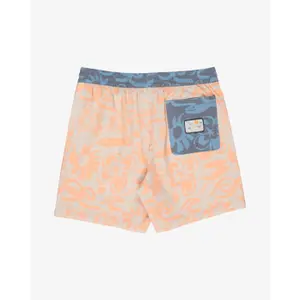 Surfshorts Billabong Ty Williams LB image-5