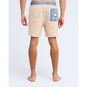 Surfshorts Billabong Ty Williams LB image-6