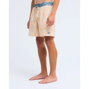 Surfshorts Billabong Ty Williams LB image-3