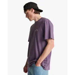 T-shirt Billabong Arch Crew image-5