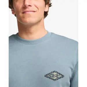 Sweatshirt Billabong Foundation CR Core Fit image-6
